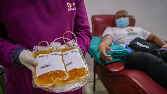 Donor Plasma Darah: Memberikan Harapan Lewat Setetes Kebaikan