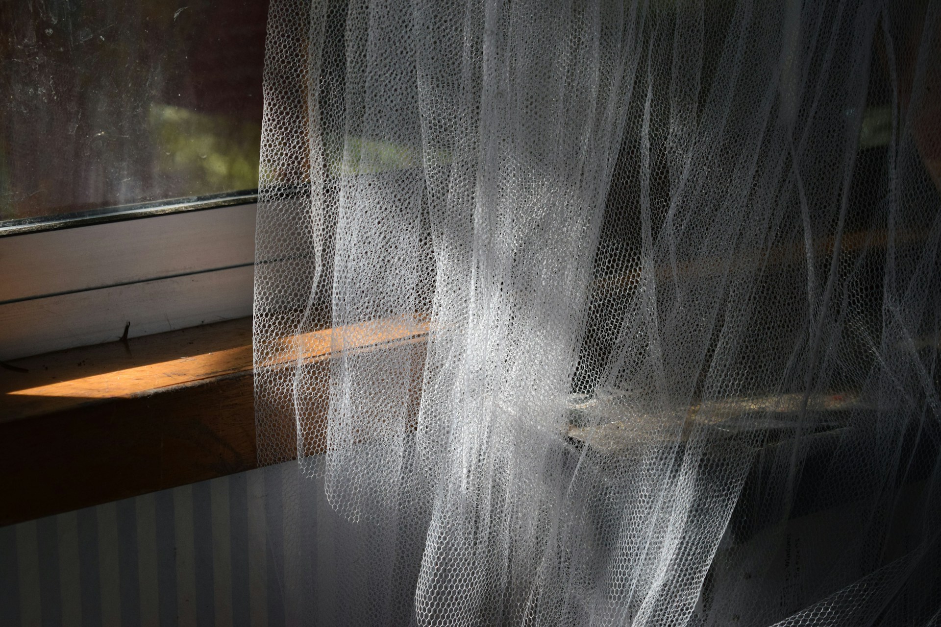 Kelambu